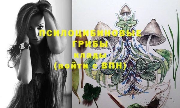 молекула духа Семикаракорск