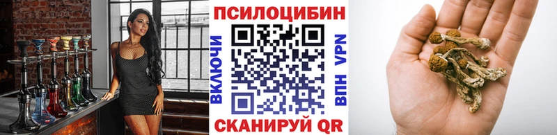 Псилоцибиновые грибы Cubensis что такое наркотик Спас-Деменск