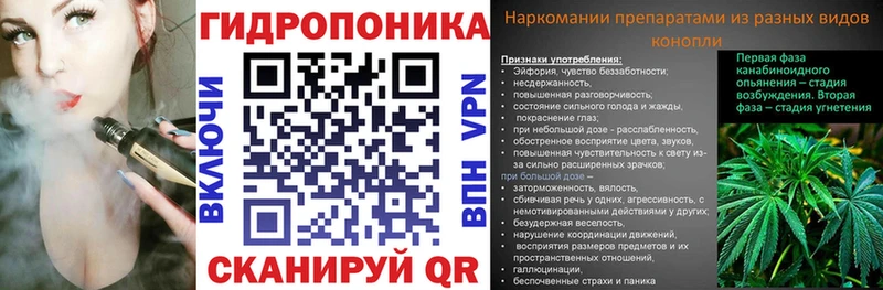 Марихуана Amnesia  МЕГА ССЫЛКА  Спас-Деменск  что такое наркотик 